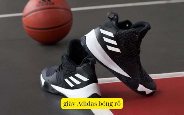 giày Adidas bóng rổ