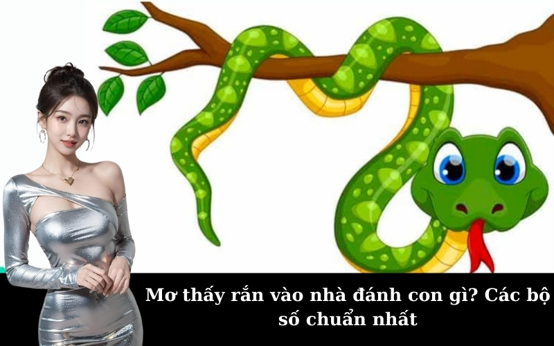 Mơ thấy rắn vào nhà đánh con gì? Các bộ số chuẩn nhất