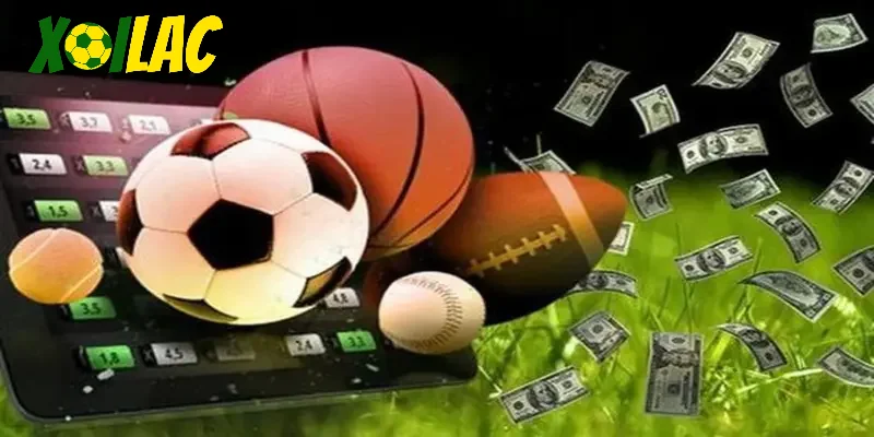 Tại sao XoilacTV luôn là lựa chọn hàng đầu cho fan bóng đá