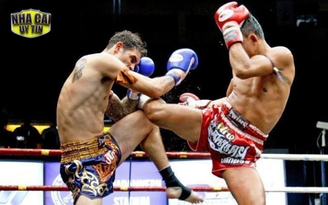 Cá Cược Boxing Tăng Nhiệt Khi Giải Đấu Thế Giới Mở Màn