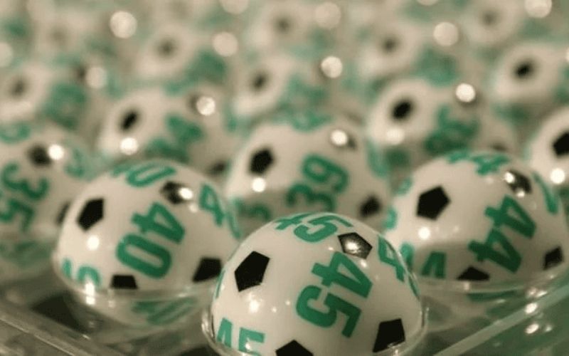 Cách nuôi dàn đề hiệu quả giúp tiết kiệm chi phí đầu tư